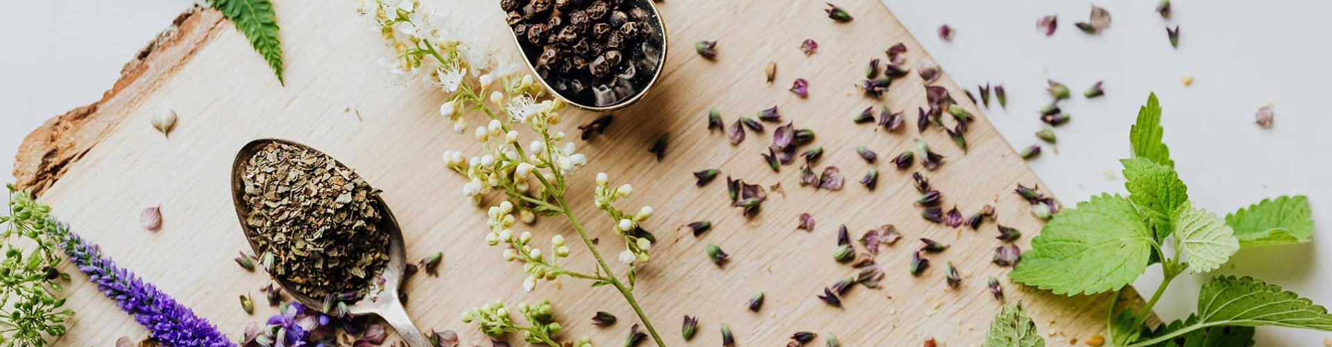 Gyógyító füveink