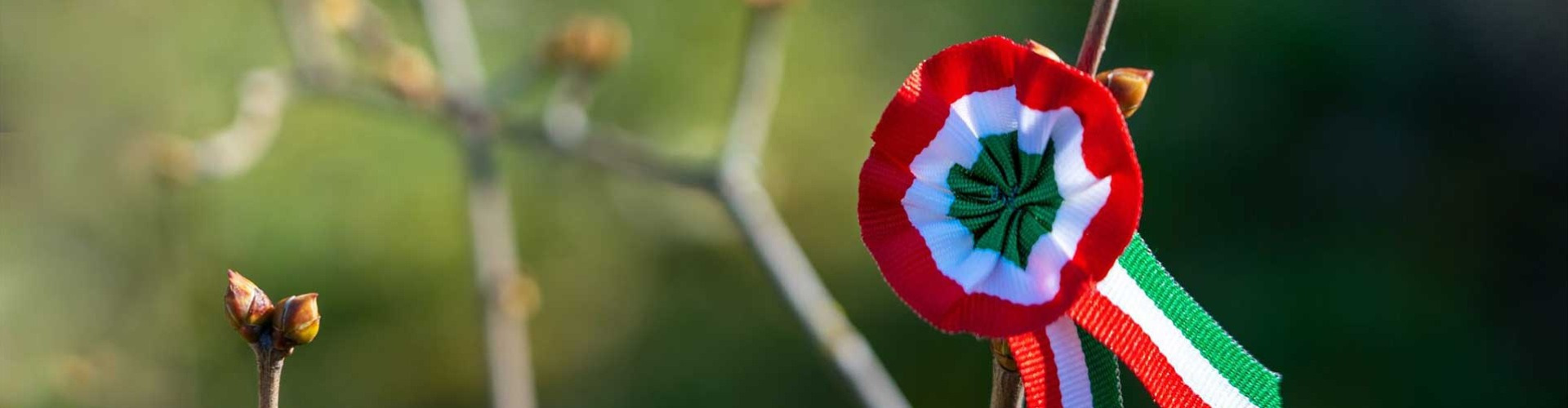 Ha kitűzzük a kokárdát: március 15-e elé