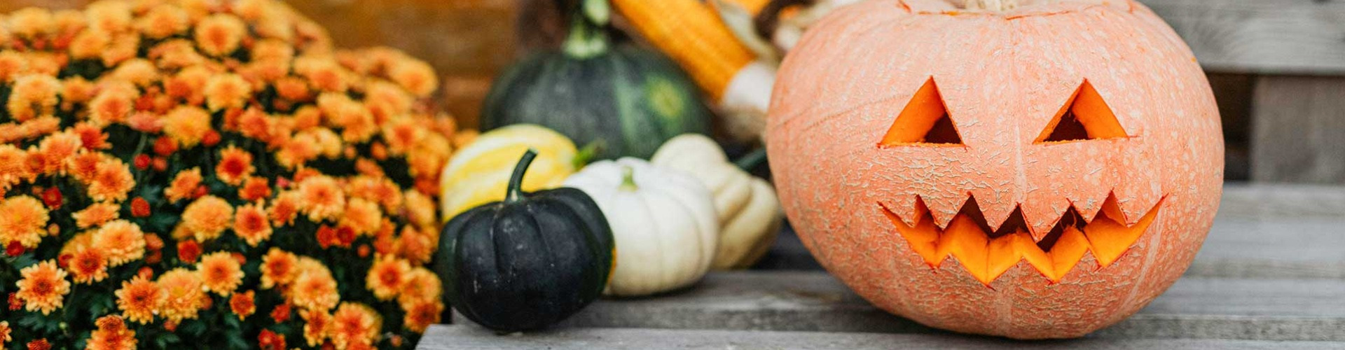 Mindenszentek ünnepe, halloween és töklámpás: mi a közös bennük?