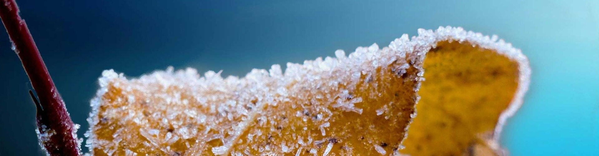 Készül a tél észrevétlen Készül a tél észrevétlen