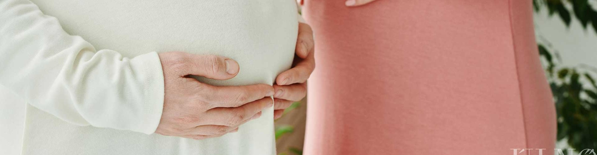 Kölcsönadtam a testem kilenc hónapra