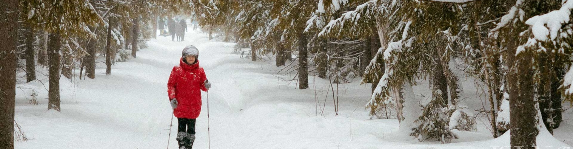 Egyre kedveltebb a „nordic walking” 