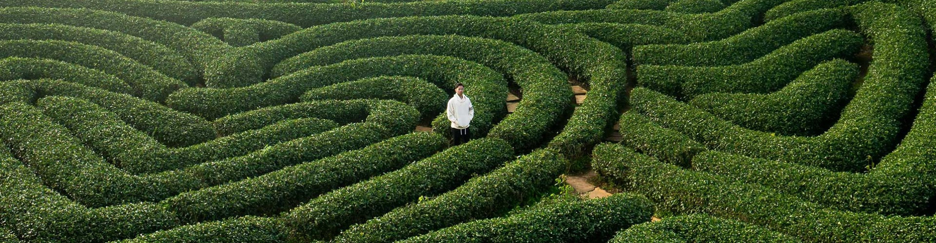 Ötletsziget tanácstalanoknak