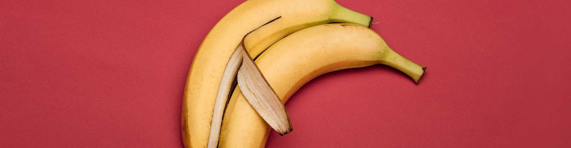 Pornó a neten Pornó a neten