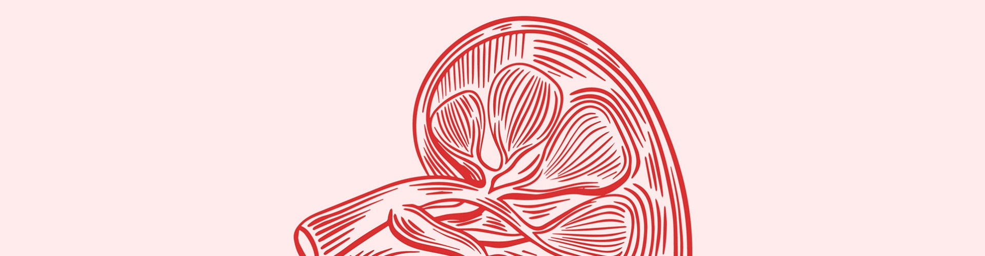 Veséink világnapja