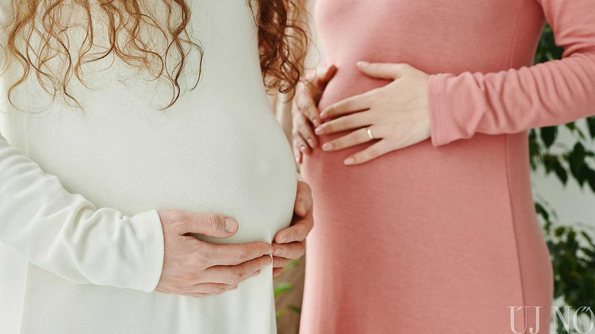 Kölcsönadtam a testem kilenc hónapra