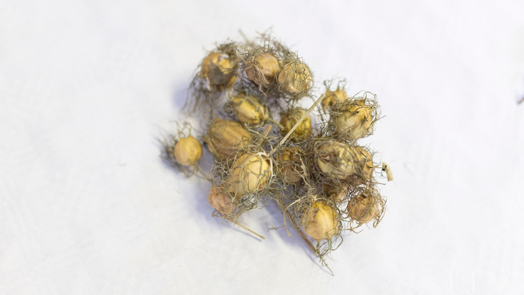 Borzaskata Borzaskata