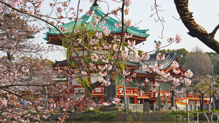 Japán Japán