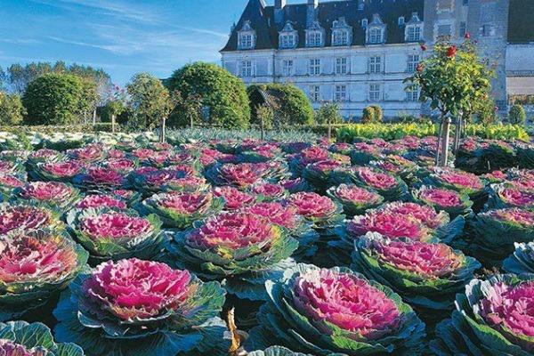 Villandry fái