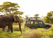 Szafarin Afrikában