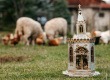 Gyűjtőnk kalandos ifjúkoráról Farkas Ottó önéletrajzi ihletésű könyvet írt