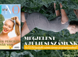 Júliusi lapajánló