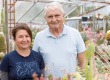 Pozsgások, kaktuszok és a rettenetes húsevők!