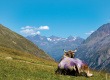 Miért érdemes Tirolba utazni?