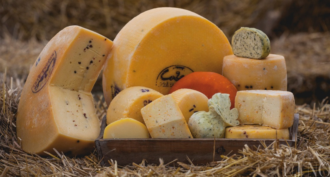 A sajtok és a tarka tehenek földjén