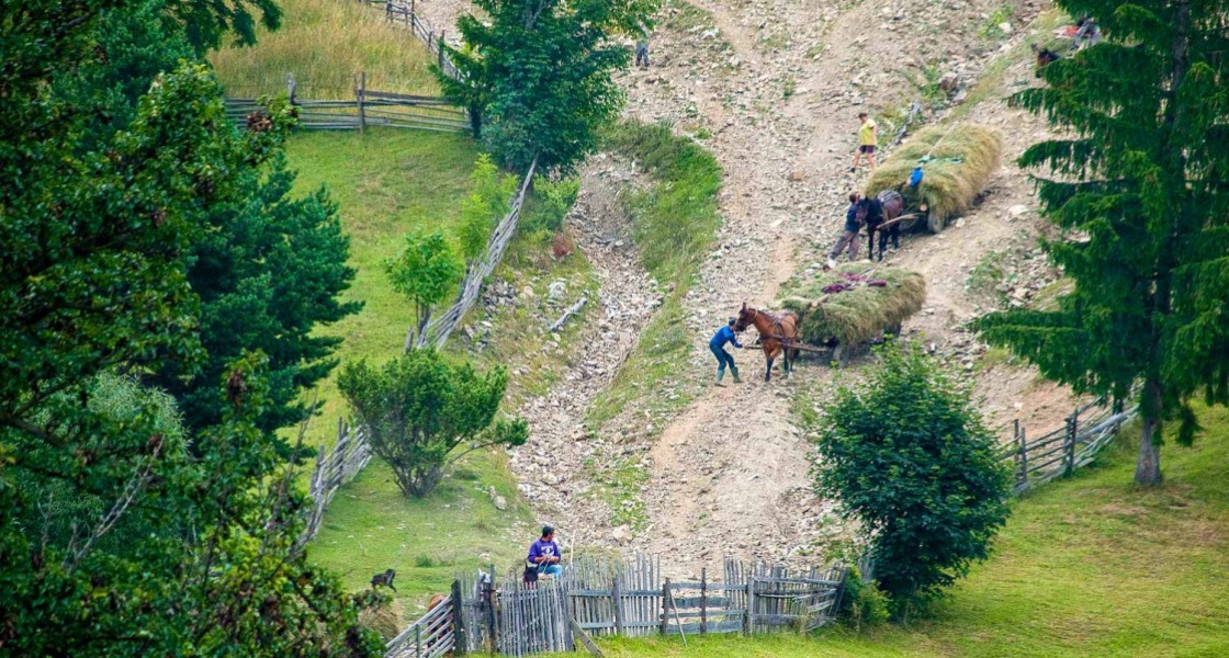 Kaszá(ló)k