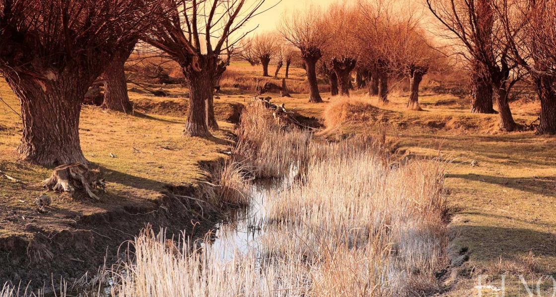 Bogyarét emlékezete