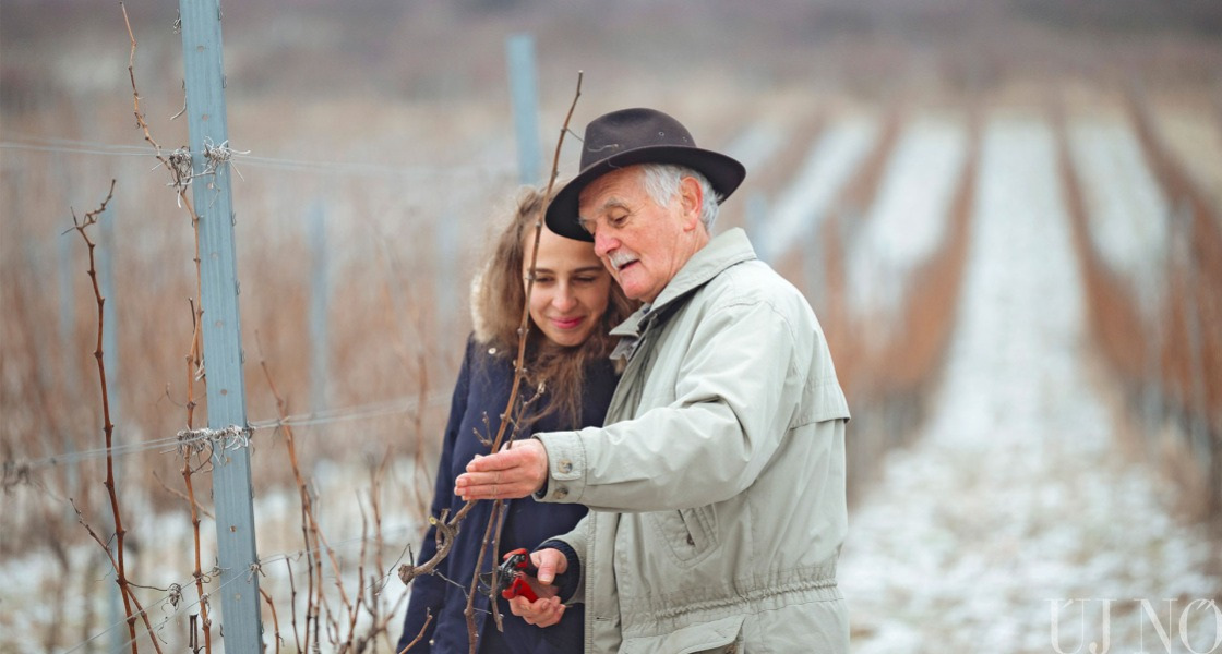 Borász leszek nemsokára