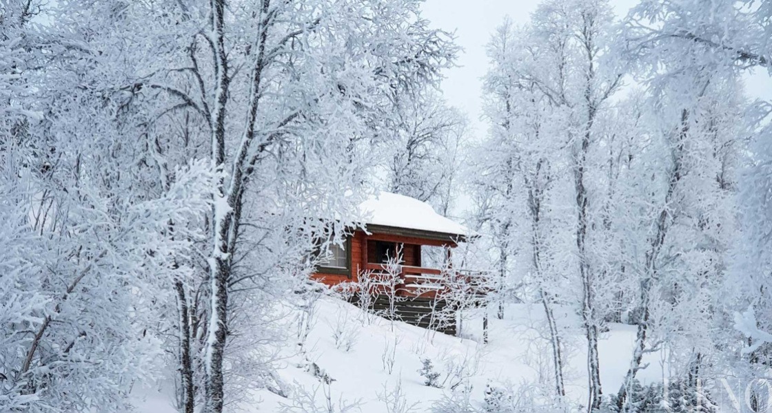 Decemberi levél 2019