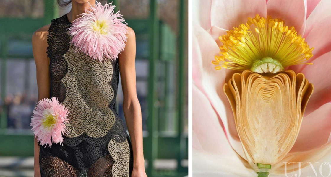 Dior és a tavirózsák