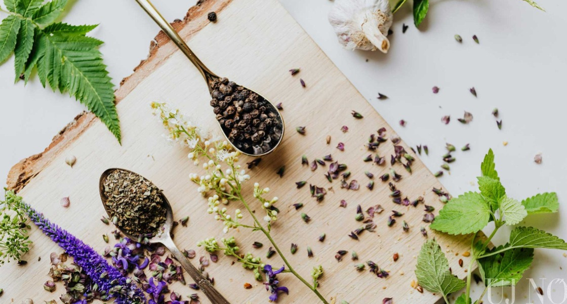 Gyógyító füveink