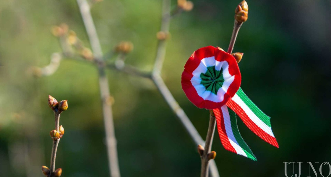 Ha kitűzzük a kokárdát: március 15-e elé