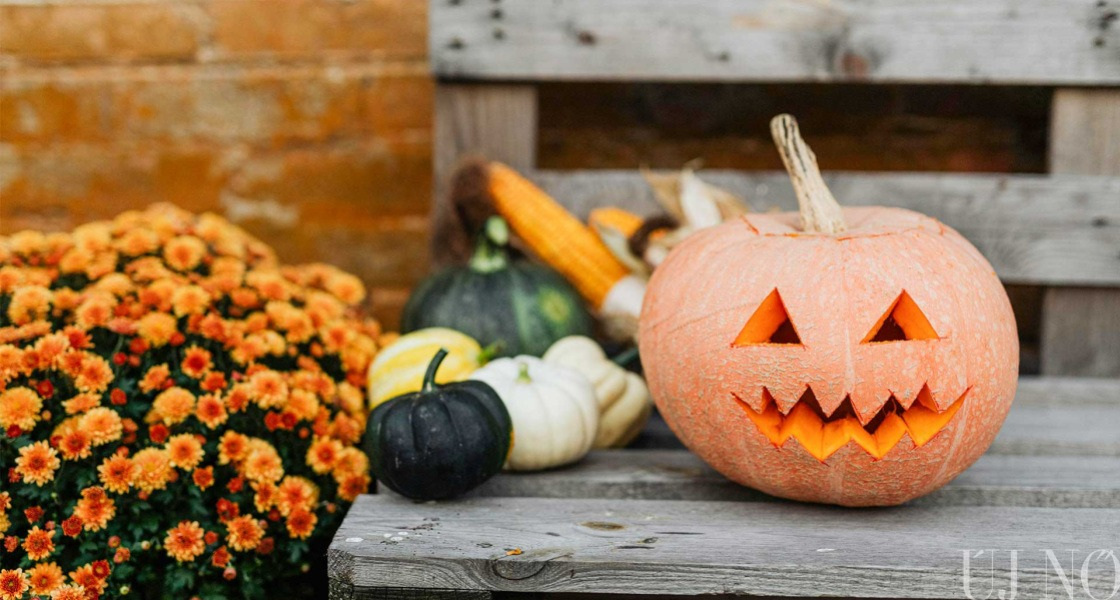 Mindenszentek ünnepe, halloween és töklámpás: mi a közös bennük?