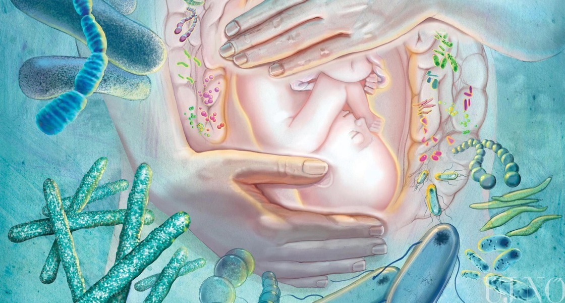 A bevésődés és a terhesség alatti életmód