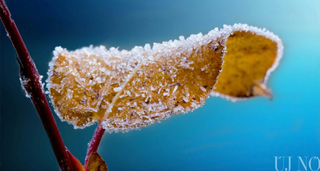 Készül a tél észrevétlen