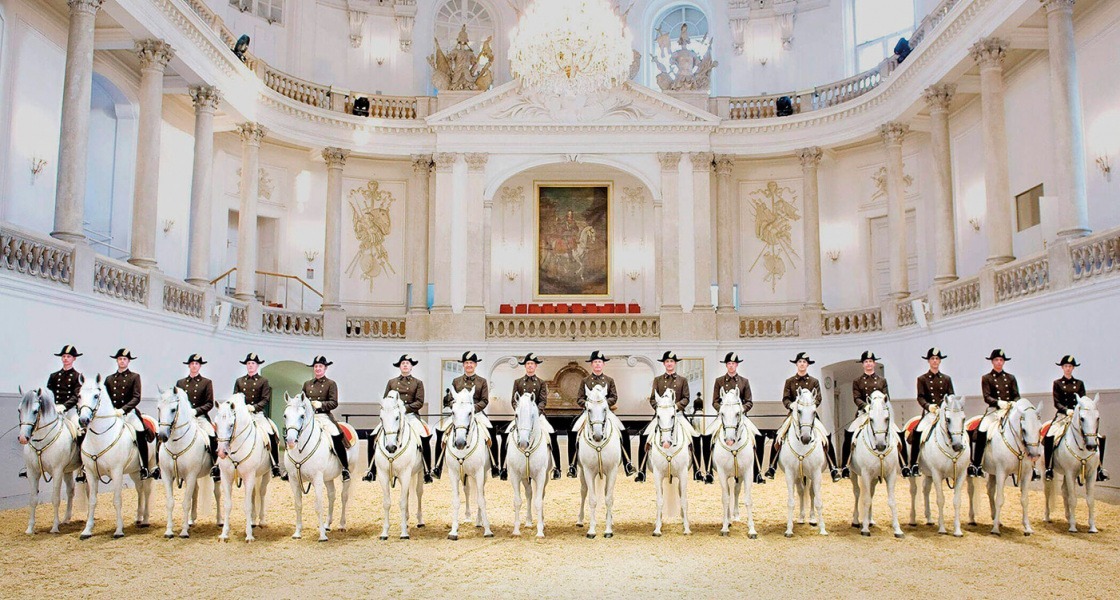 Nézze meg a bécsi spanyol lovasiskolát és a világ legszebb könyvtárát!