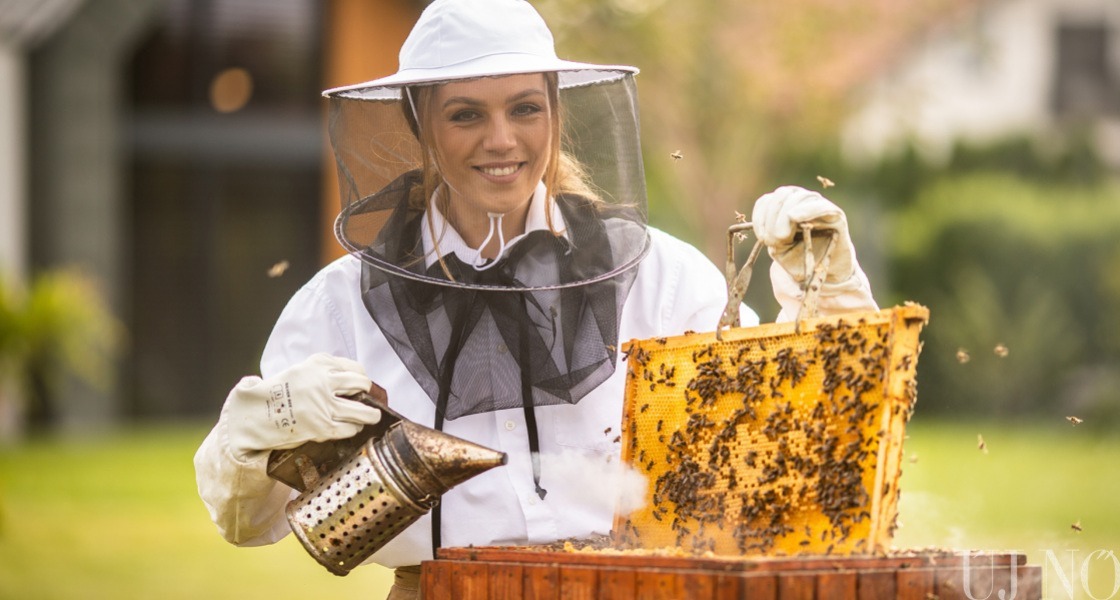 Örökölt sors, avagy méhészek Nagymegyeren 
