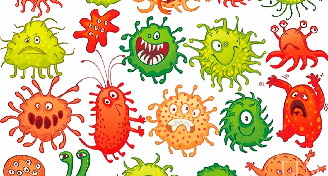 Miért nem ismertük eddig a mikrobiomot?
