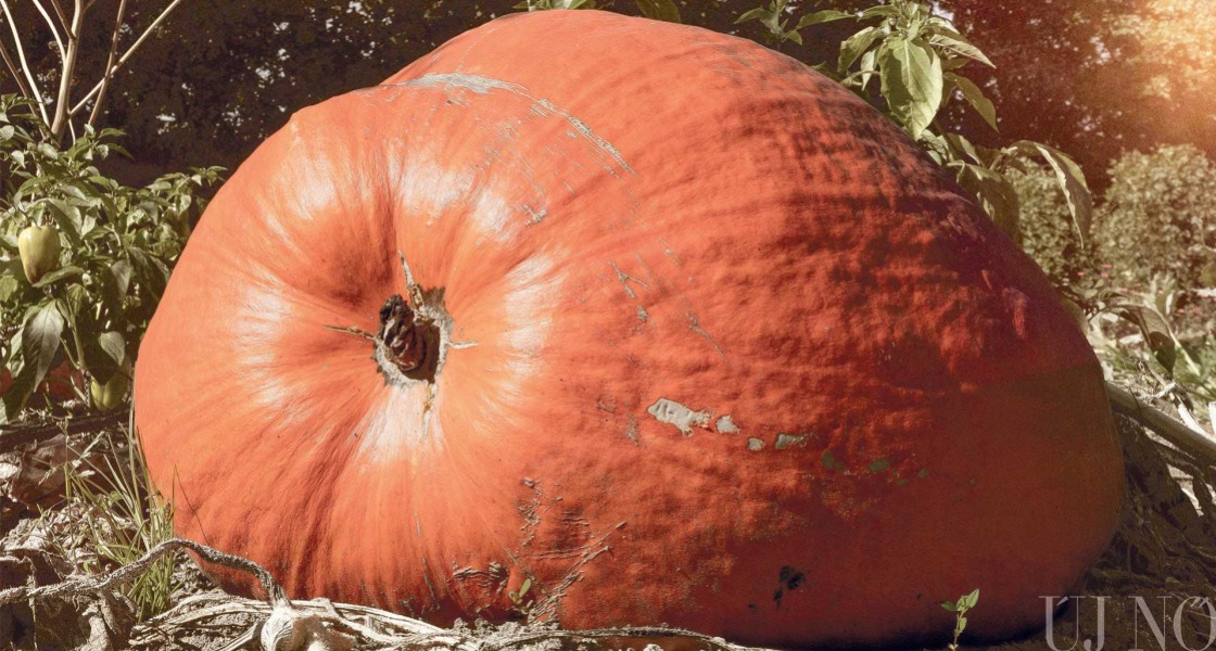 Óriástök