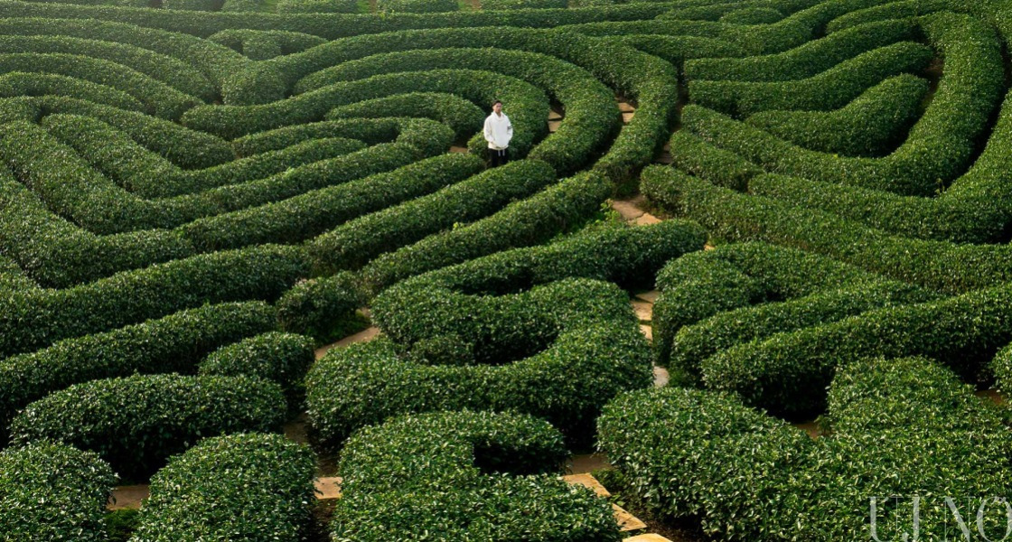 Ötletsziget tanácstalanoknak