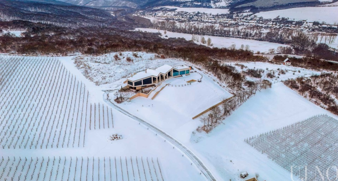 Pusztító sárgaság