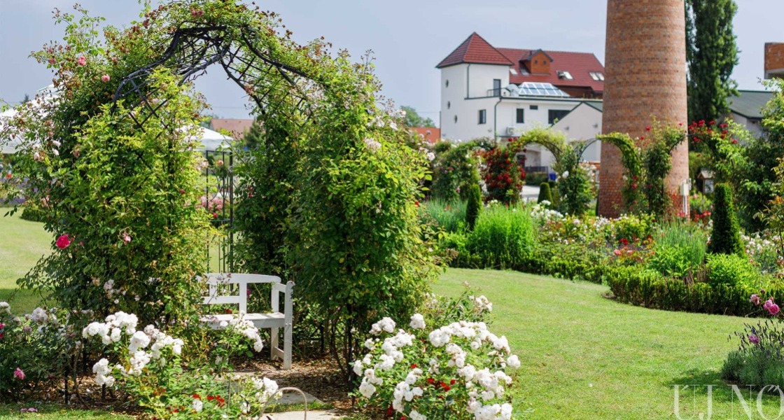Rozárium