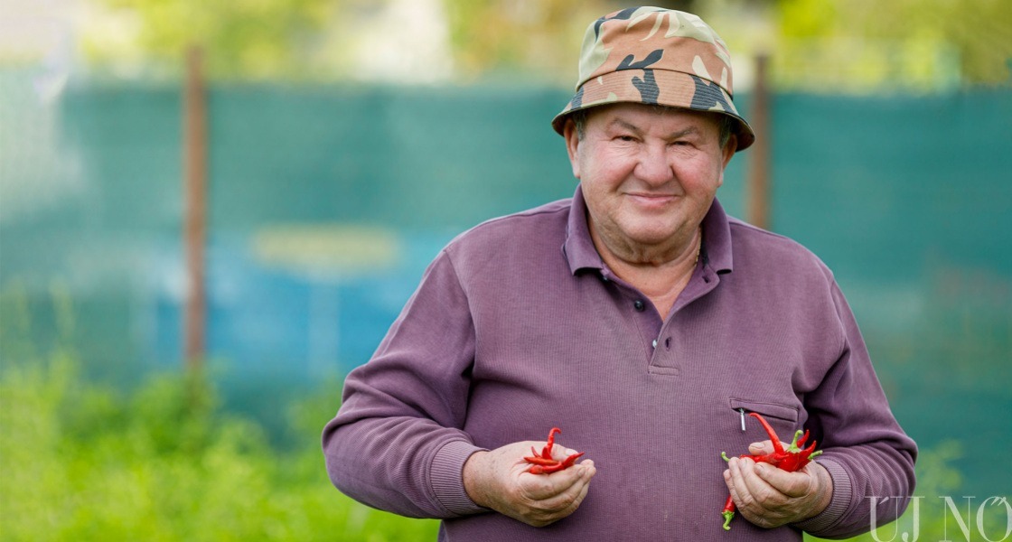 A gyógyító csili – Interjú Tükör Béla termesztővel