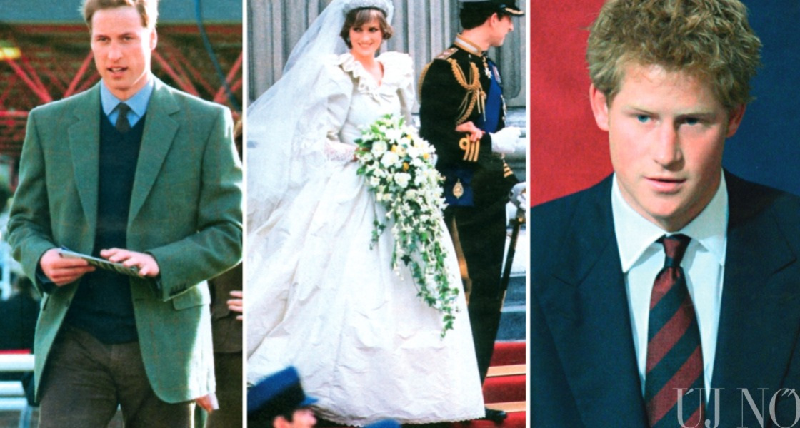 Windsor saga - II.