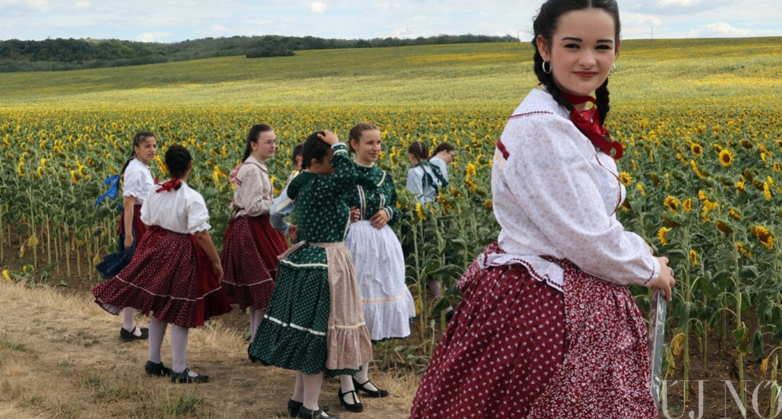 Napraforgóim