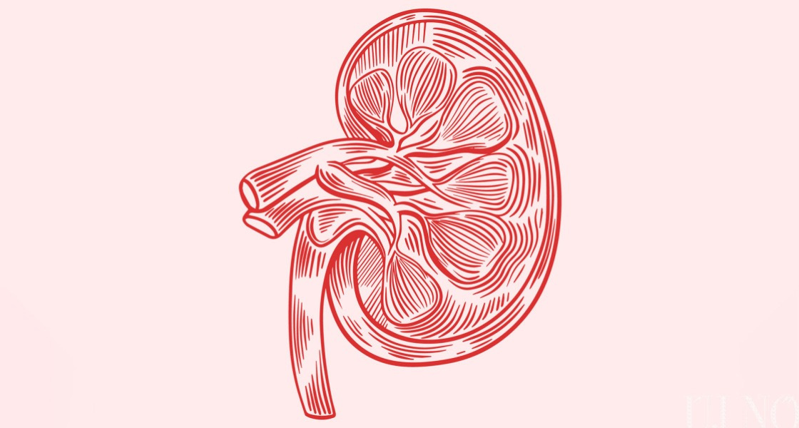 Veséink világnapja